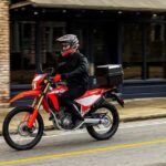 How the Honda CRF300L Became the Bestselling Dual Sport