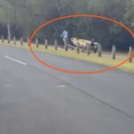 Who needs a truck? Man tows boat with a tiny electric scooter!