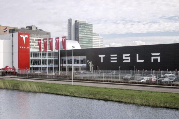 Tesla doubles its sales in the Netherlands, Jaguar I-Pace deliveries rise