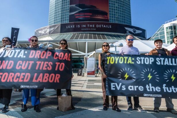 Public Citizen calling for Toyota to improve its EV strategy outside the LA Auto Show