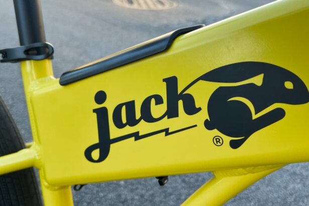 JackRabbit OG2 review: Hey everyone, come look at my micro e-bike!