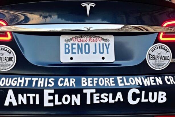 Anti-Elon bumper sticker business gives insights into Tesla owners turning against him