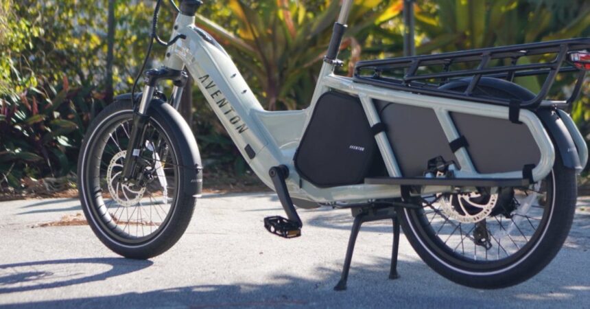 Why some Scrooges want to stop California from handing out $2,000 e-bike vouchers