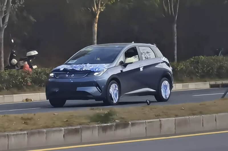 New larger BYD Dolphin spotted testing ahead of launch