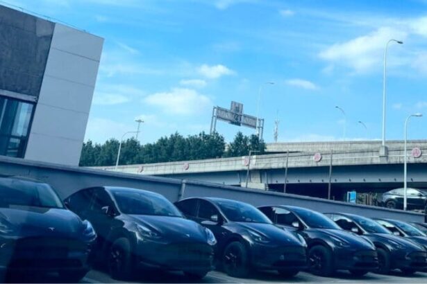 Tesla Model Y became the bestselling car in China in 2024