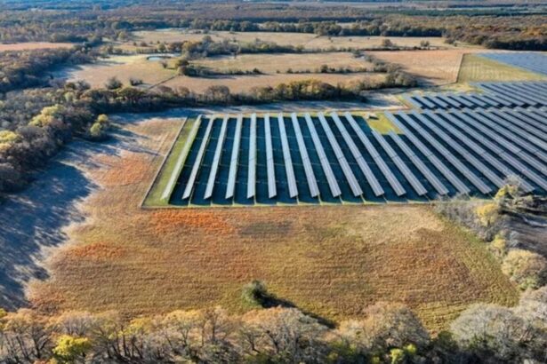 Tesla and Honda will buy power from this new 300 MW Texas solar farm