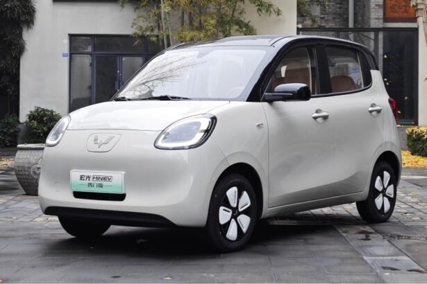 The five-door Wuling Hongguang Mini EV will start sales on February 22