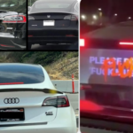 Tesla owners get creative to distance themselves from Elon with new car logos & projectors