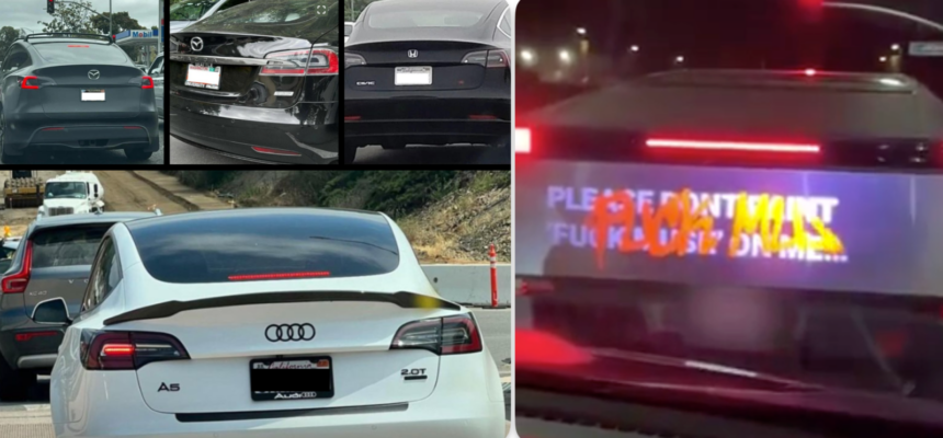 Tesla owners get creative to distance themselves from Elon with new car logos & projectors