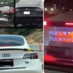 Tesla owners get creative to distance themselves from Elon with new car logos & projectors