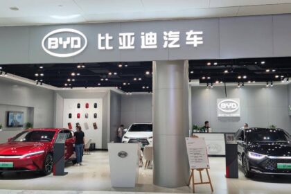 Passenger vehicle retail sales ranking in China, BYD: 290000, Geely: 195000, FAW-Volkswagen: 130000, Tesla China: 74000, March 2025
