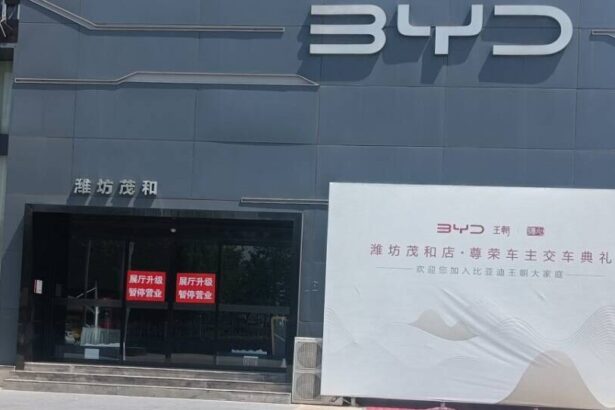 Major BYD dealer network collapses in eastern China