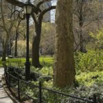 NYC could soon kick electric bikes out of Central Park