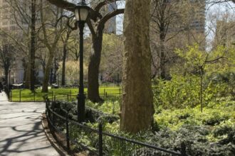 NYC could soon kick electric bikes out of Central Park