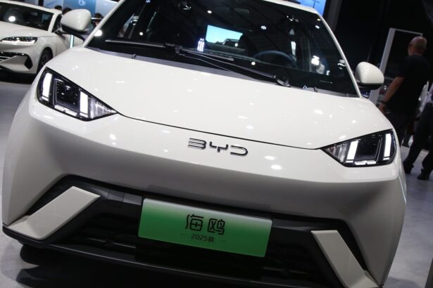 BYD Seagull (Dolphin Surf) surpasses 1 million sales in two years