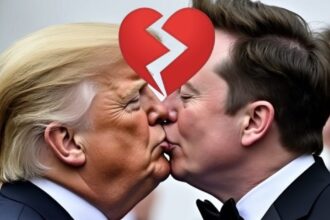TSLA drops 14% as investors see corruption being priced out of Tesla stock