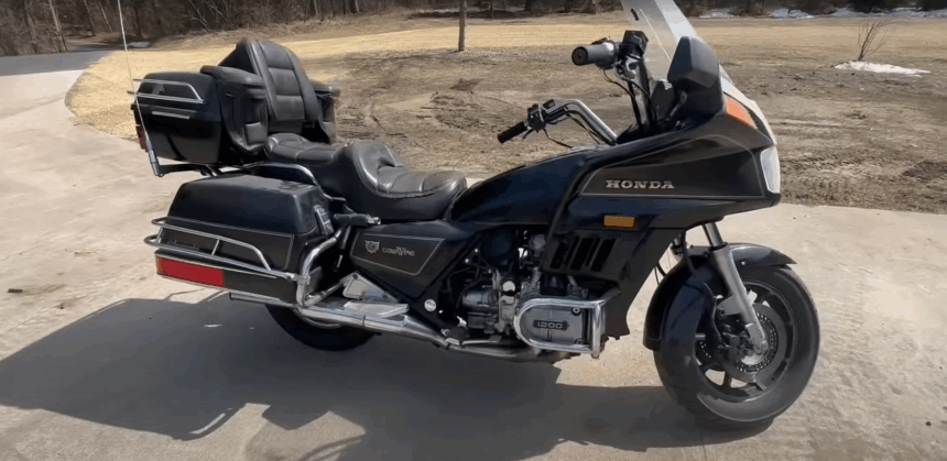1984 Honda Goldwing 1200 Custom Build - Budget Motorcycle Transformation