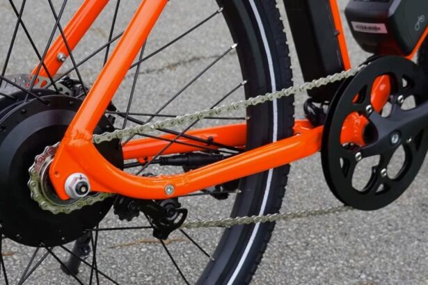 Why single-speed electric bikes are awesome (and you should probably get one)