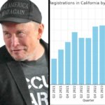 Tesla (TSLA) sales are down 21% in biggest US EV market, dragging whole market down