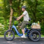 New e-trike boasts 960W motor, full-suspension and 500 lb capacity