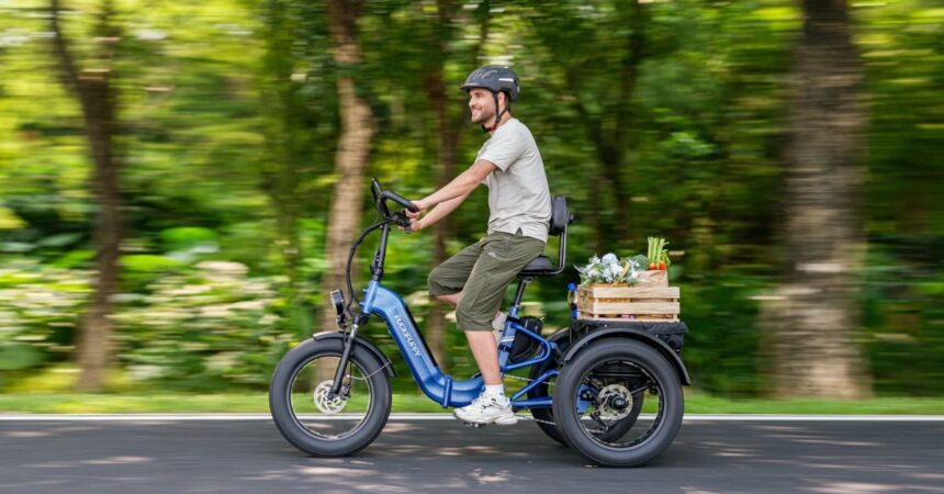 New e-trike boasts 960W motor, full-suspension and 500 lb capacity