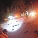 Tesla says Musk Autopilot claims should not have been heard in fatal crash case