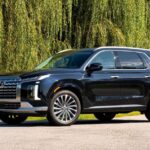 Hyundai is recalling nearly 600,000 vehicles, including the Palisade and IONIQ EVs
