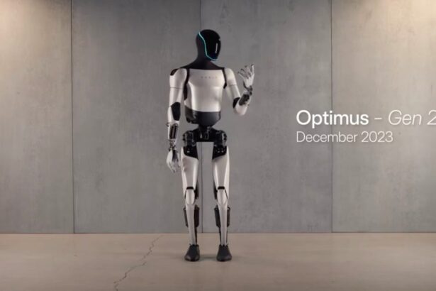 Tesla loses another Optimus robot leader, and upsets TSLA stock gamblers