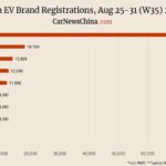 Onvo 3,700, Tesla 12,500, Leapmotor 13,900, BYD 69,400