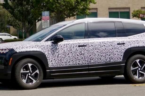Hyundai’s big electric SUV is getting a new trim