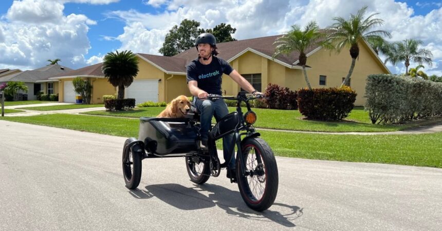 Sidecar e-bikes: The fun-loving electric bike style everyone forgets about
