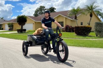 Sidecar e-bikes: The fun-loving electric bike style everyone forgets about
